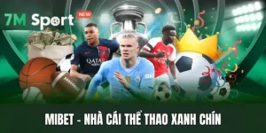 Mibet - Nhà Cái Thể Thao Xanh Chín, Tỷ Lệ Kèo Thơm